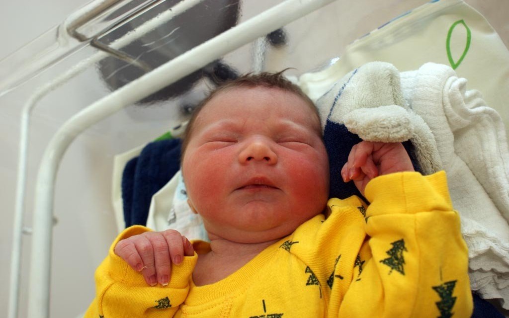 Witamy jedną dziewczynkę i dziewięciu chłopców – FOTO