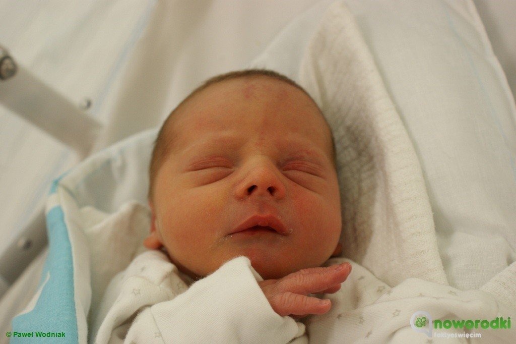 Witamy Hanię, Jagodę, Tośka i Kubę – FOTO