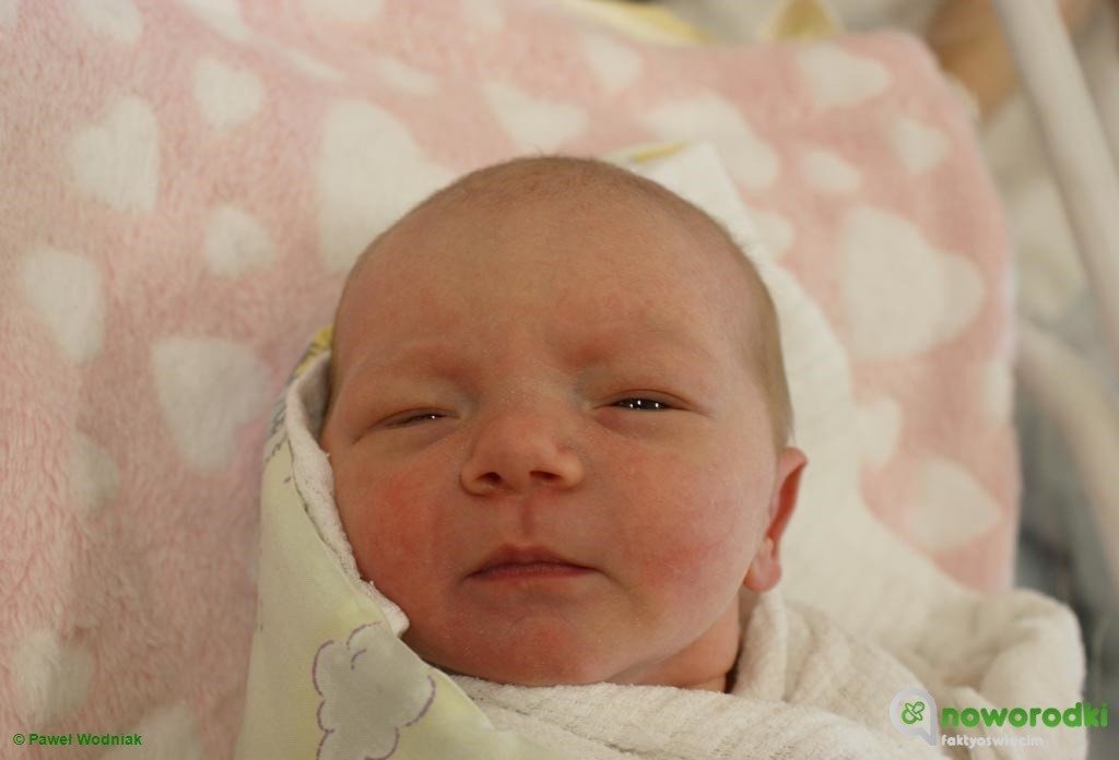 Witamy sześć księżniczek i jednego rodzynka – FOTO