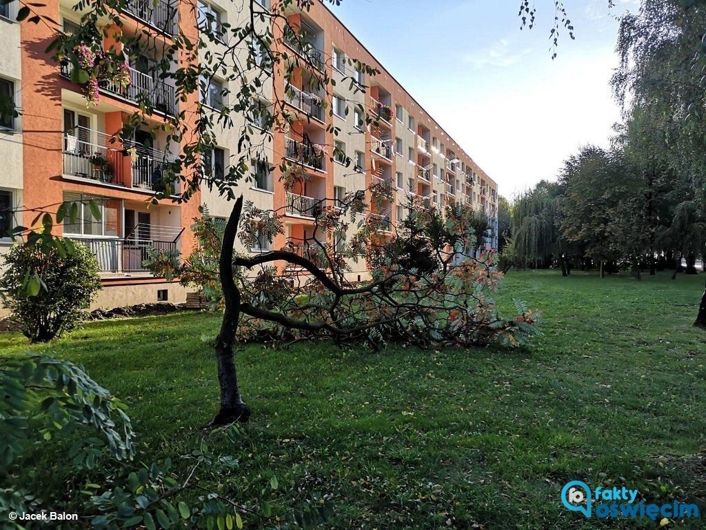 Strażacy wyjeżdżali głównie do połamanych drzew
