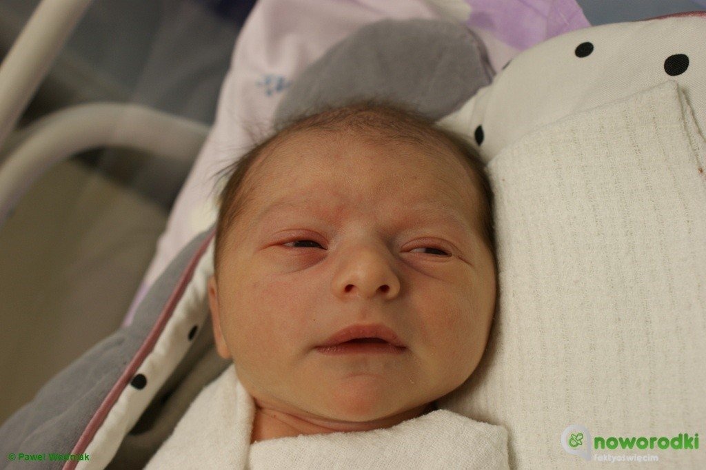 Witamy nowe gwiazdy w galerii noworodkowej eFO – FOTO