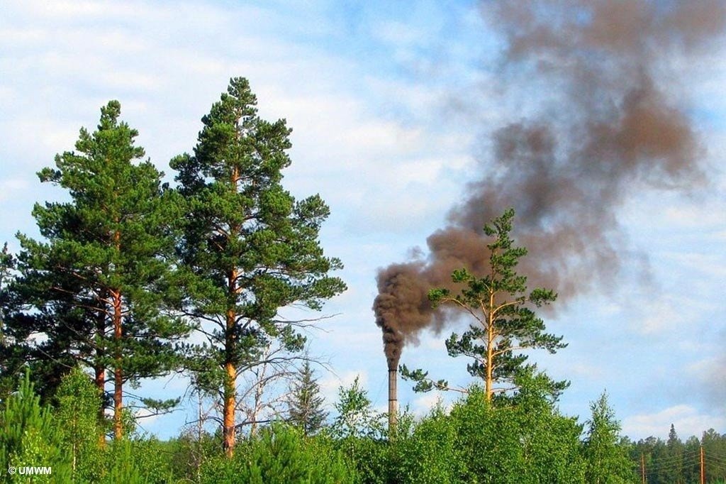 Oświęcimianie chcą zakazu dla palenia węglem i drewnem