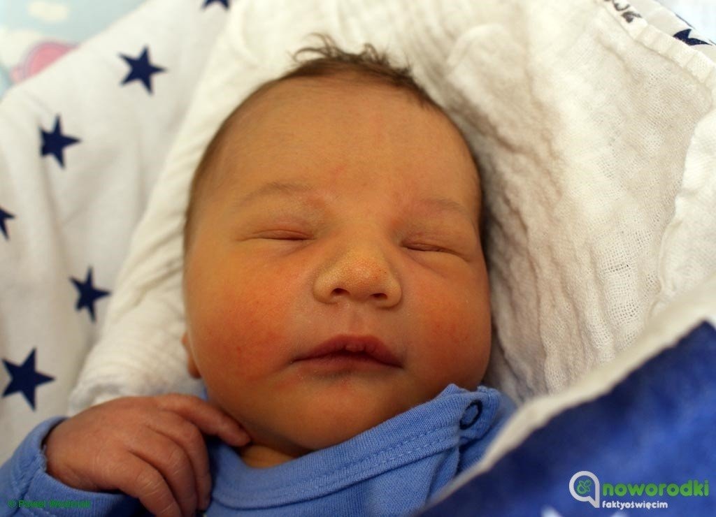 Cały tuzin noworodków – FOTO