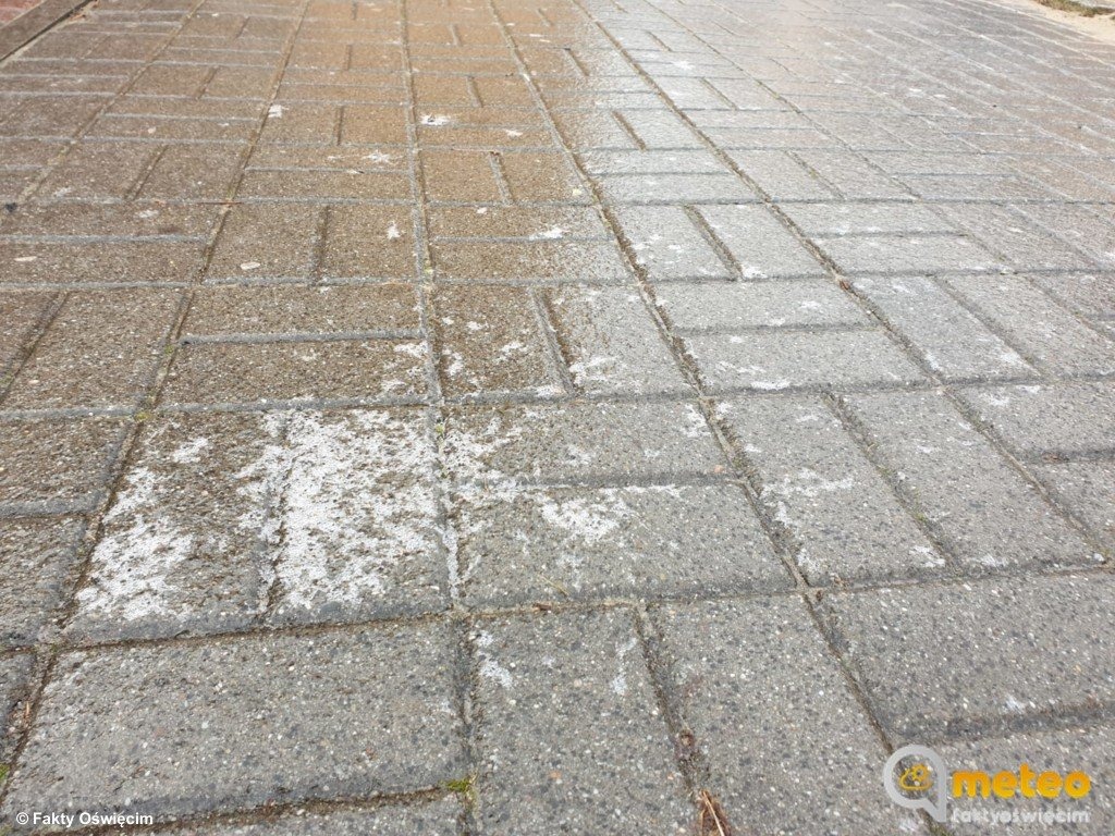 Jest bardzo ślisko – FOTO