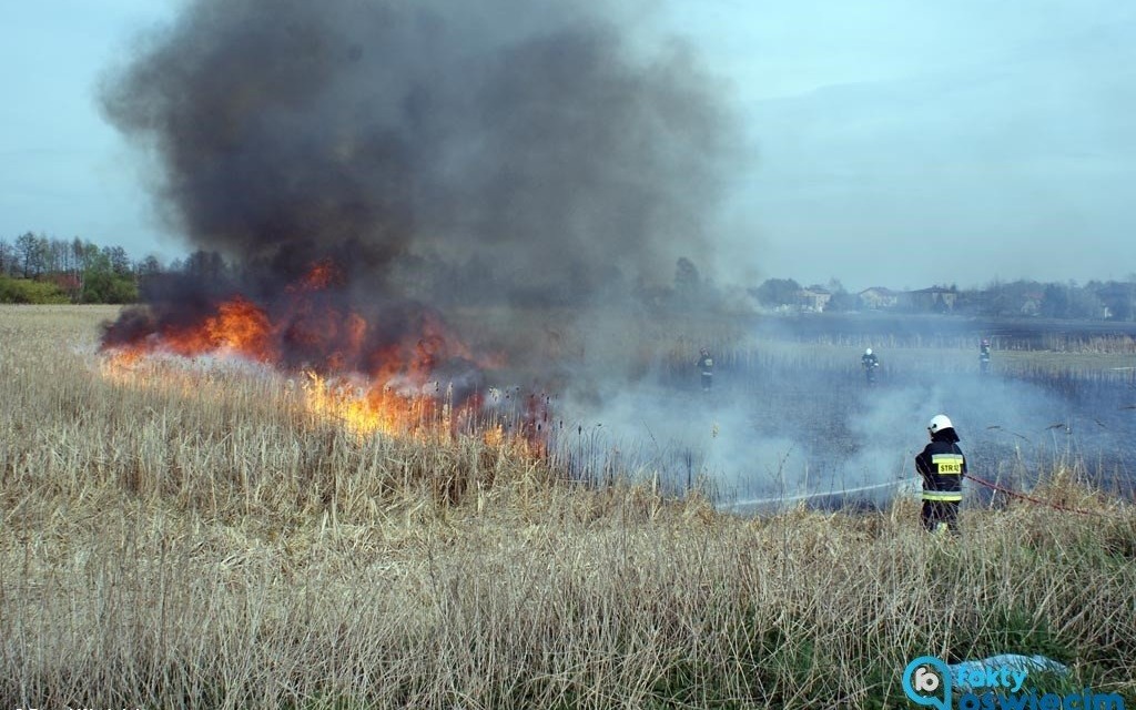 Floriany dla najlepszych inicjatyw strażackich