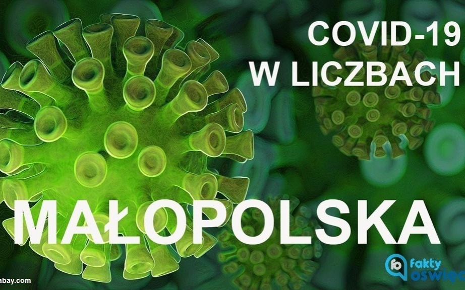 KORONAWIRUS. Małopolska w liczbach