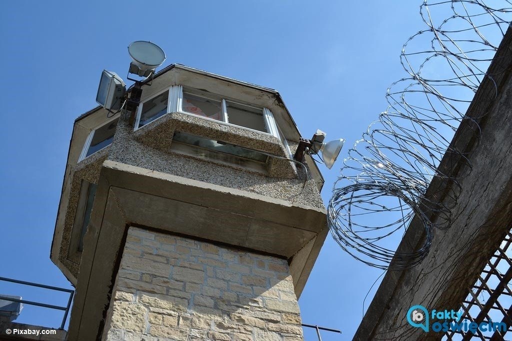 Wpadli poszukiwani przestępcy i małolaty na gigancie