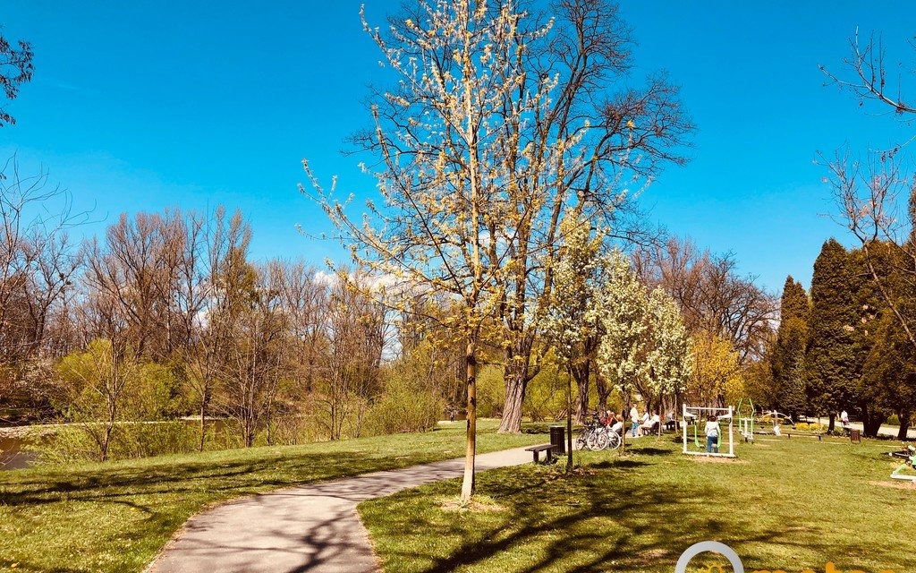 Jutro zimna Zośka. Pogoda na 15 maja