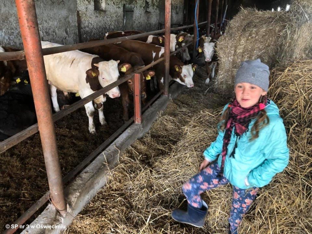 Wiejska zagroda w miejskiej Trójce – FOTO