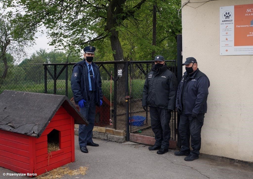 Funkcjonariusze zakładu karnego z pomocą zwierzakom