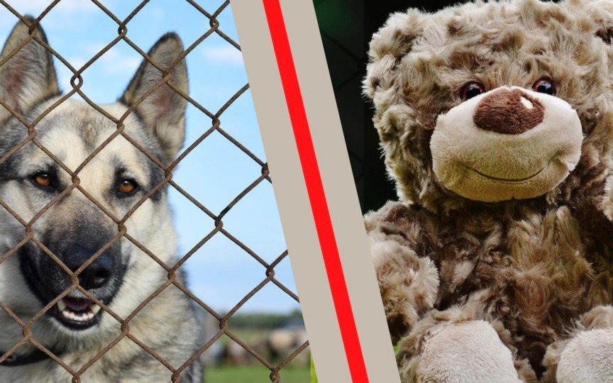 OSP Podaje Łapkę oraz Miś, czyli akcje młodzieżówki z Podlesia