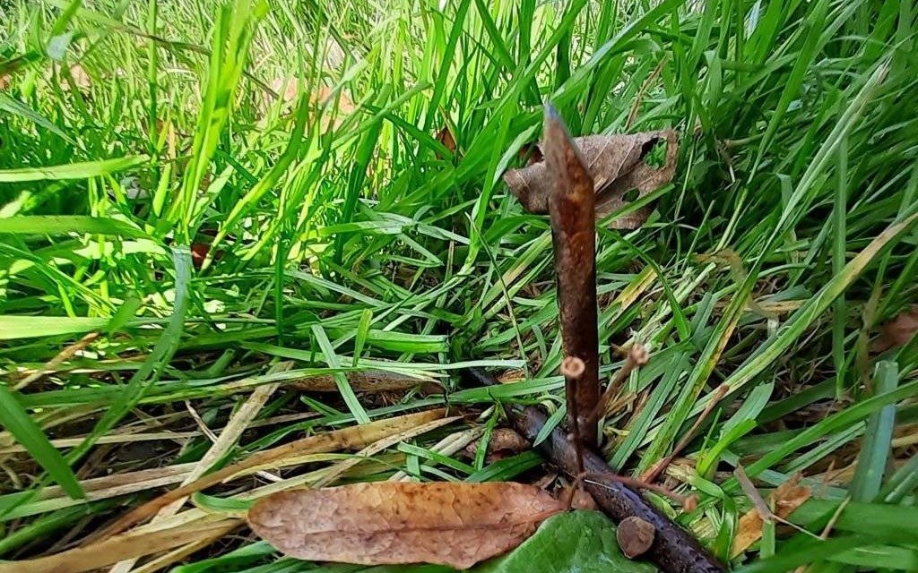 Wbił w ziemię metalowe pręty. Naraził zdrowie ludzi i zwierząt