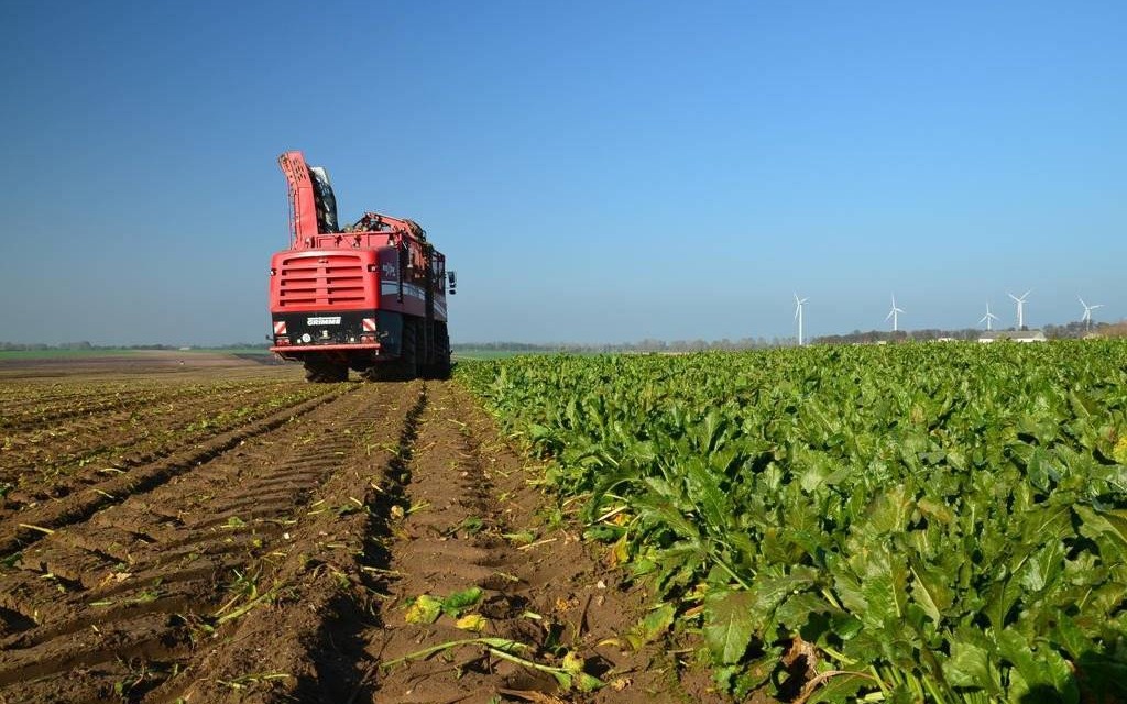 Krajowa Spółka Cukrowa podsumowuje kampanię cukrowniczą 2020/2021