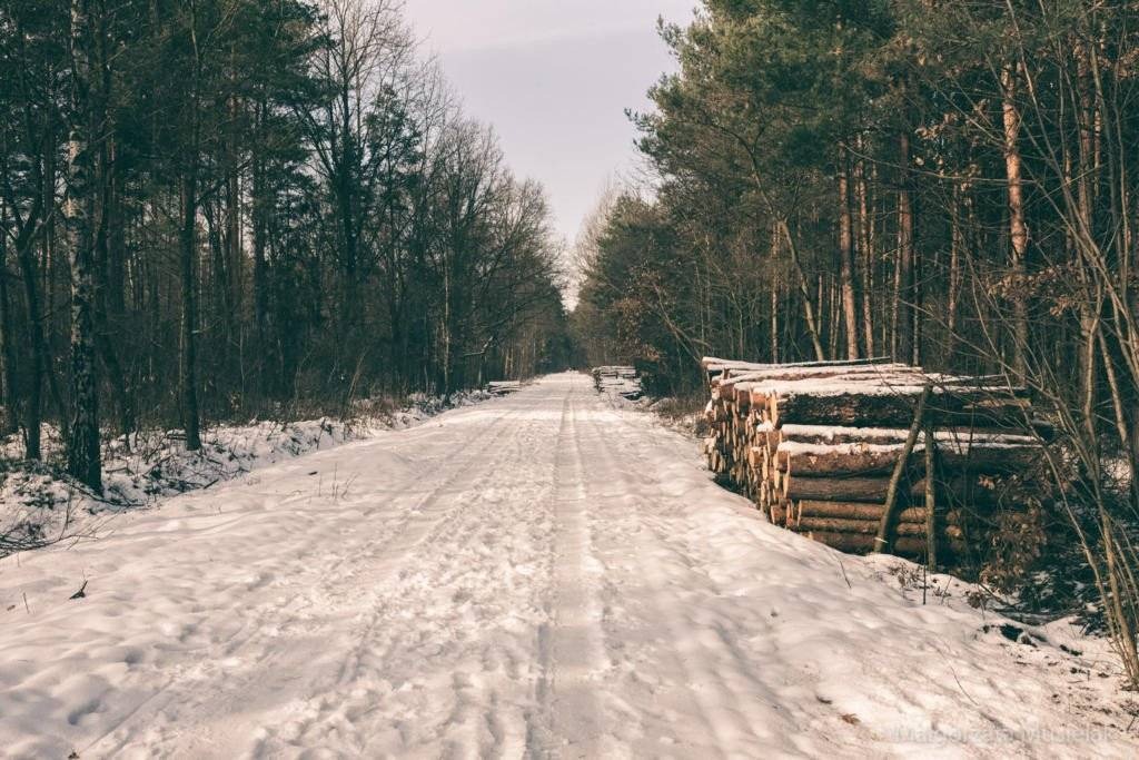 Synoptyk IMGW: mróz utrzyma się do środy, zima wróci w weekend