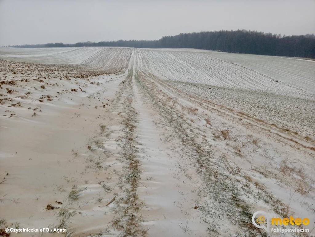 Pył znad Sahary dotarł do powiatu oświęcimskiego – FOTO