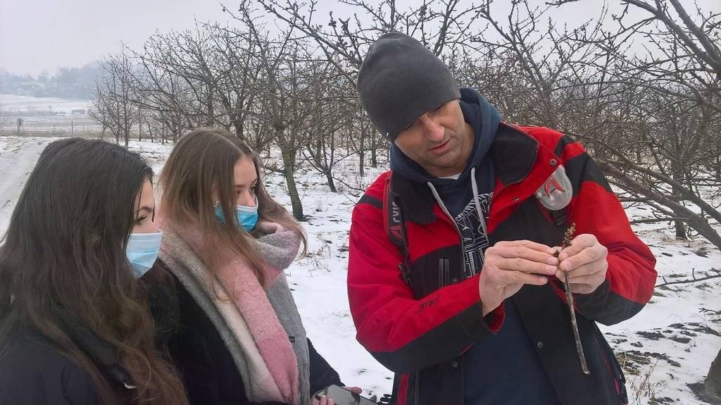 Czereśniowy sad uczniów Ekonomika – FOTO