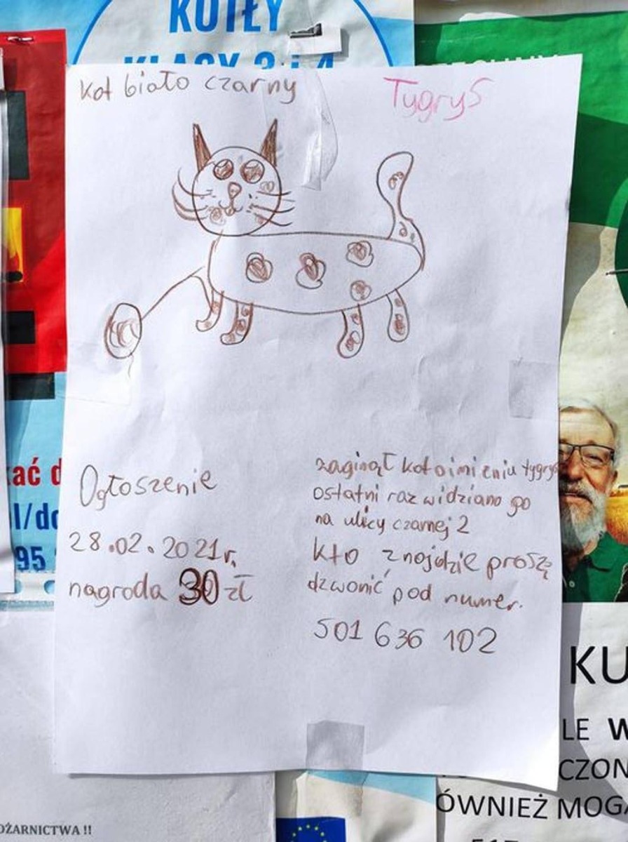 Poszukiwania Tygrysa. Niezwykłe plakaty w Brzezince