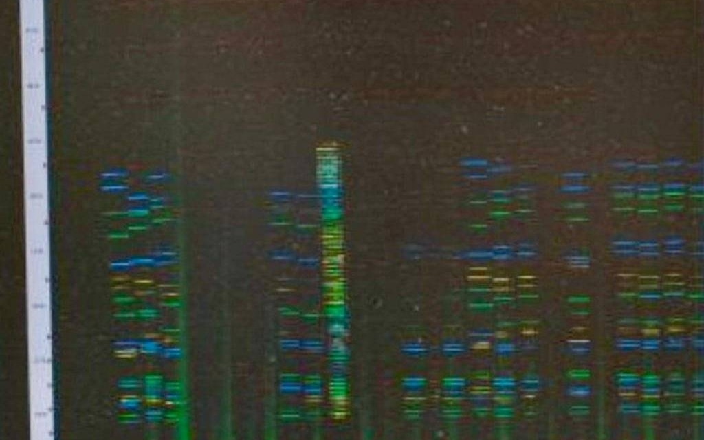 Zwłoki znalezione w rzece Sole zidentyfikowane na podstawie profilu DNA