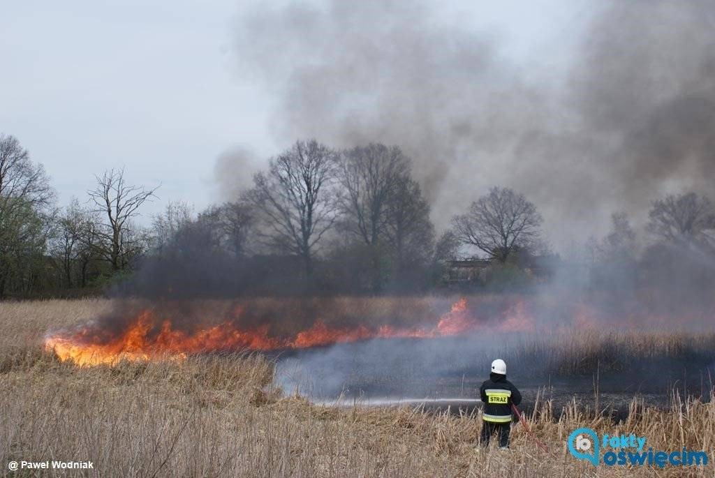 Podpalił trawę. Mógł zginać w pożarze