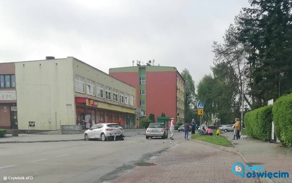 Pies nie przeżył kolizji dwóch samochodów