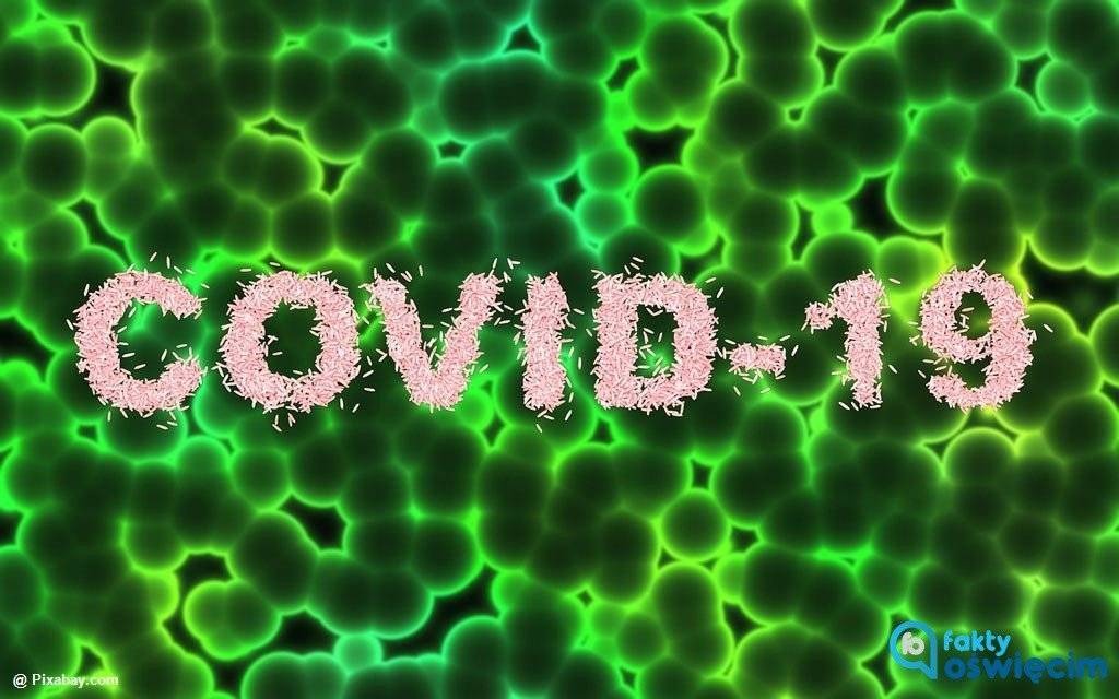 COVID-19. Pierwsza doba bez stwierdzonych zakażeń
