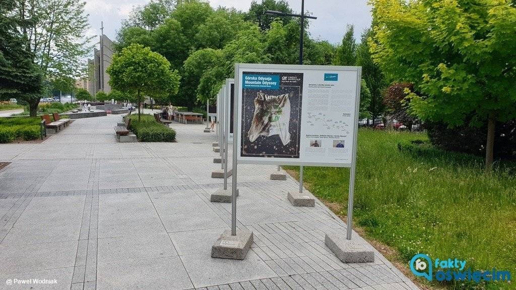 Śmieciowe skarby na ekologicznej wystawie w Oświęcimiu – FOTO