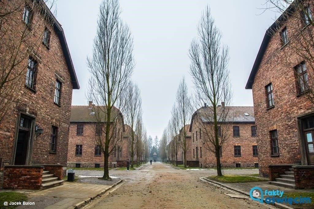 Strefa interesów, czyli życie w sąsiedztwie Auschwitz