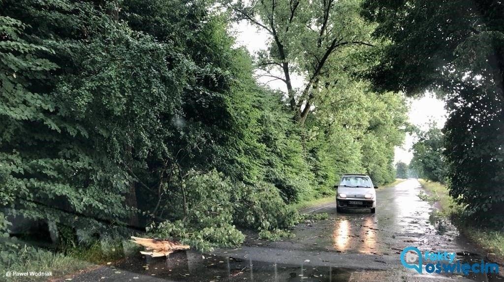Burze i silny wiatr. Strażacy interweniowali ponad 30 razy – FOTO