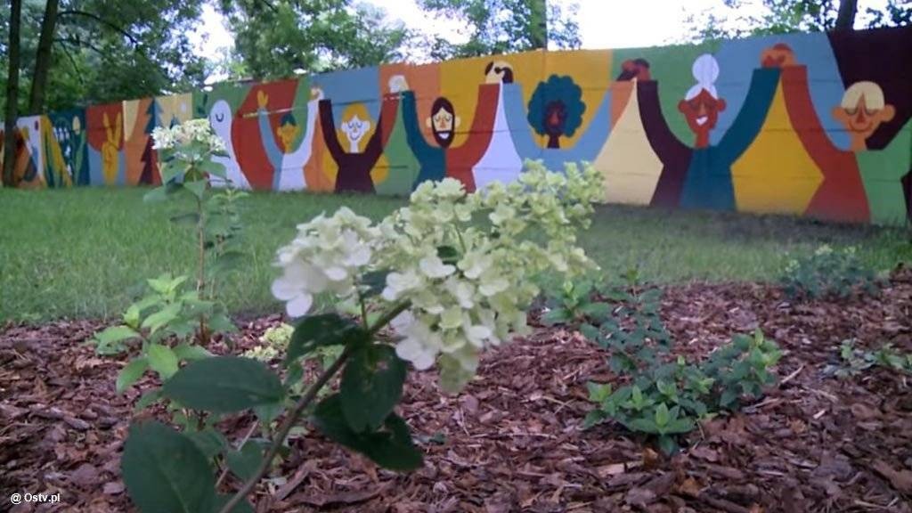 Oświęcimskie Wieści z ratusza – FILM