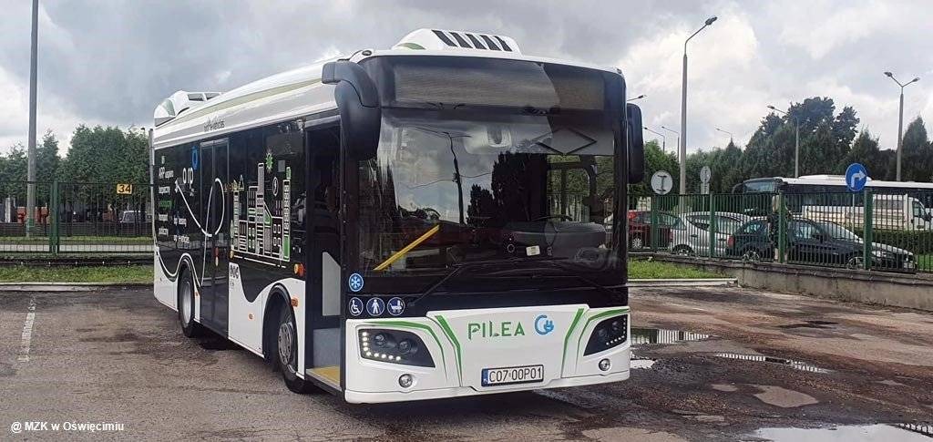 Miejski przewoźnik testuje polski autobus elektryczny