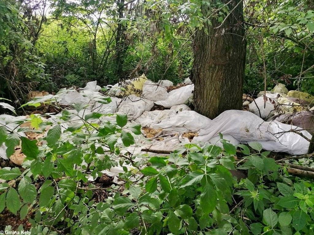 Strażnicy miejscy odnaleźli leśnego śmieciarza