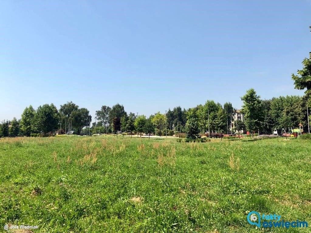 Ruszyła rozbudowa parku na Zasolu w Oświęcimiu