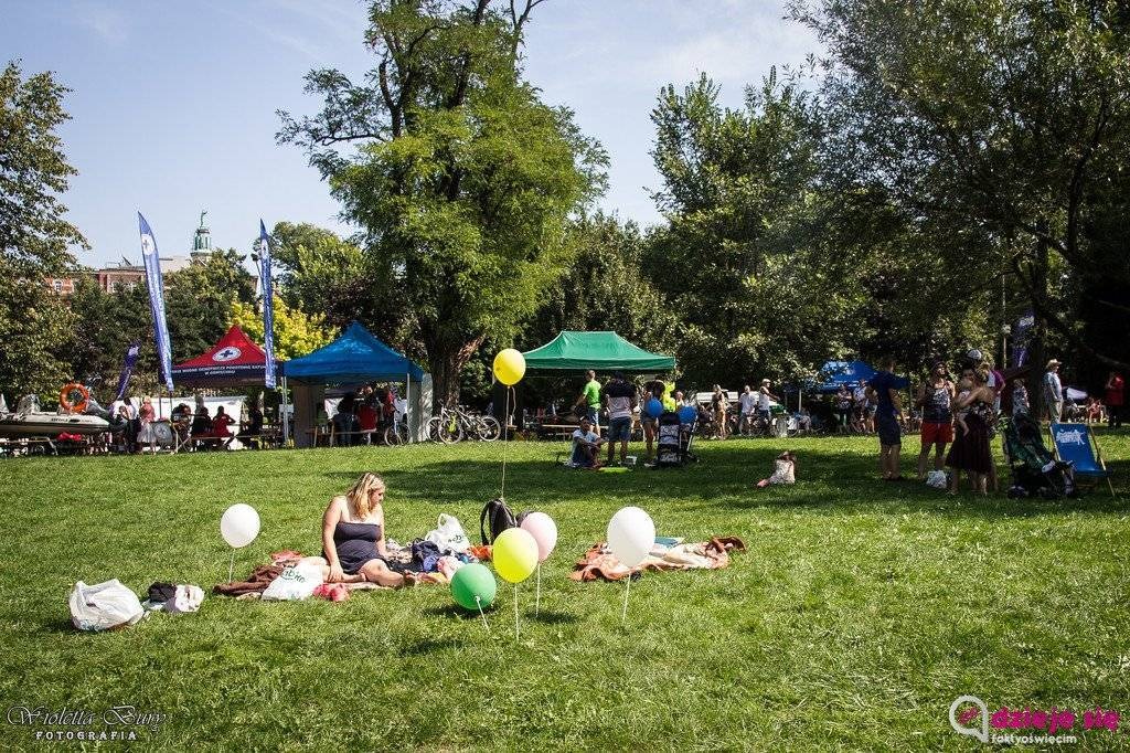 Przyjdź na piknik i poznaj organizacje pozarządowe