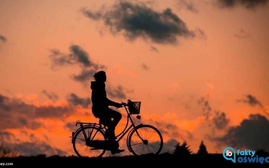 Czujne oczy policjantów wypatrzyły złodzieja