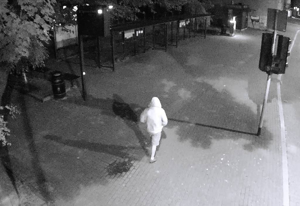 Pseudografficiarz usłyszał zarzuty – FOTO