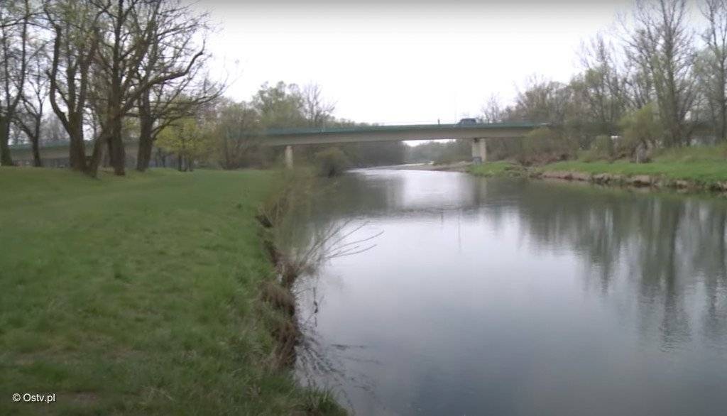 Oświęcimskie Wieści z ratusza – FILM