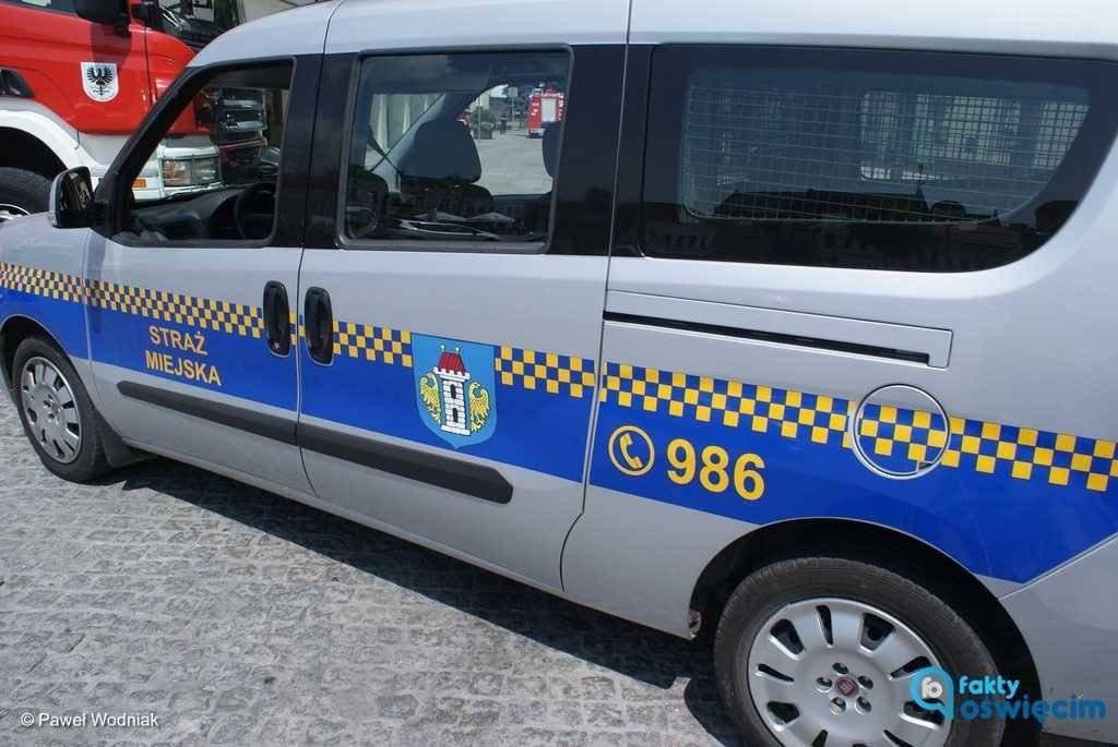 Strażnicy zatrzymali poszukiwanego alimenciarza