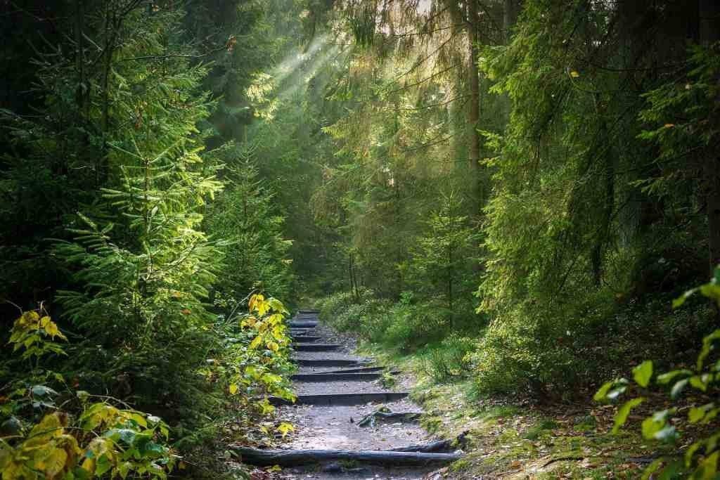 Dzień Ziemi. Natura boryka się z coraz większymi problemami