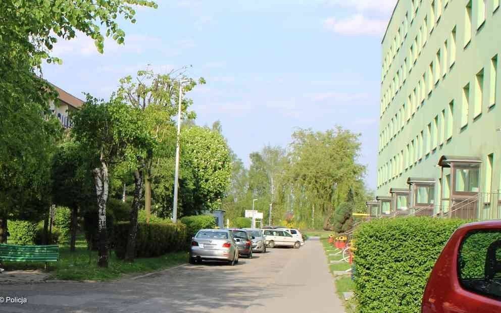 Dwulatka wbiegła wprost przed samochód