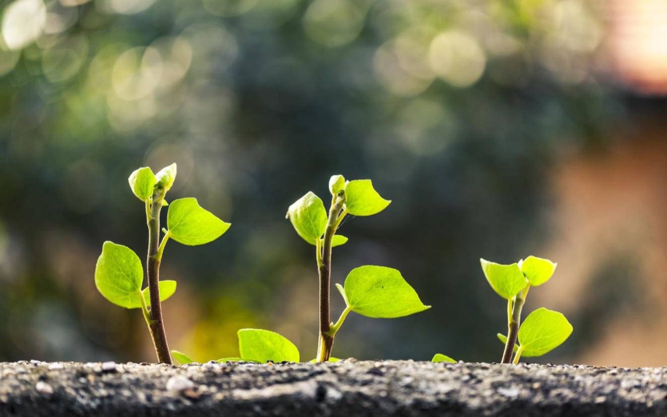 Harmonogram wydarzeń w Domu Kultury w Kętach
