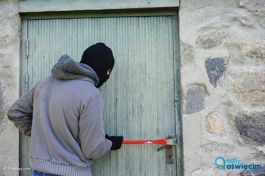 Kryminalni rozbili ośmioosobową szajkę przestępczą