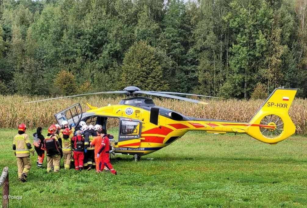 Uderzyła go gałąź. Poleciał śmigłowcem do szpitala