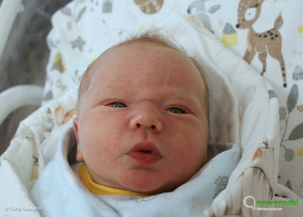 Noworodkowa galeria eFO – FOTO