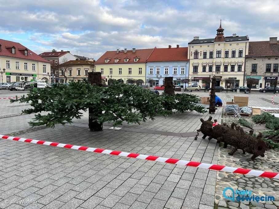 Oświęcim przygotowuje się do świąt – FOTO