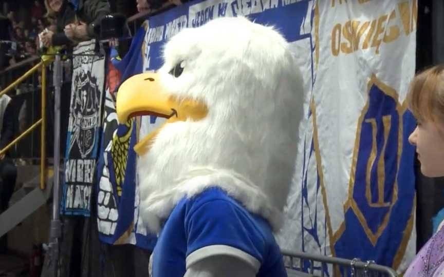 Oświęcimskie Wieści z ratusza – FILM