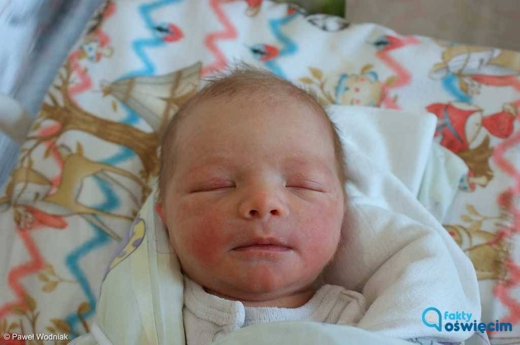 Ile dzieci rodzi się w oświęcimskim szpitalu?