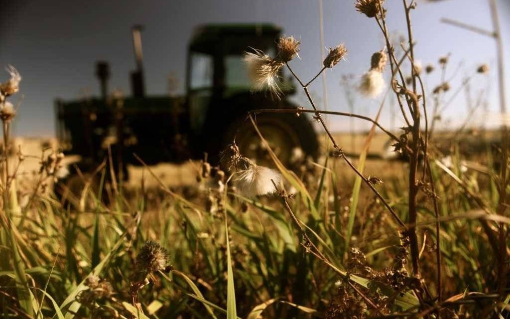 Ciągnik przygniótł traktorzystę. Mężczyzna nie żyje