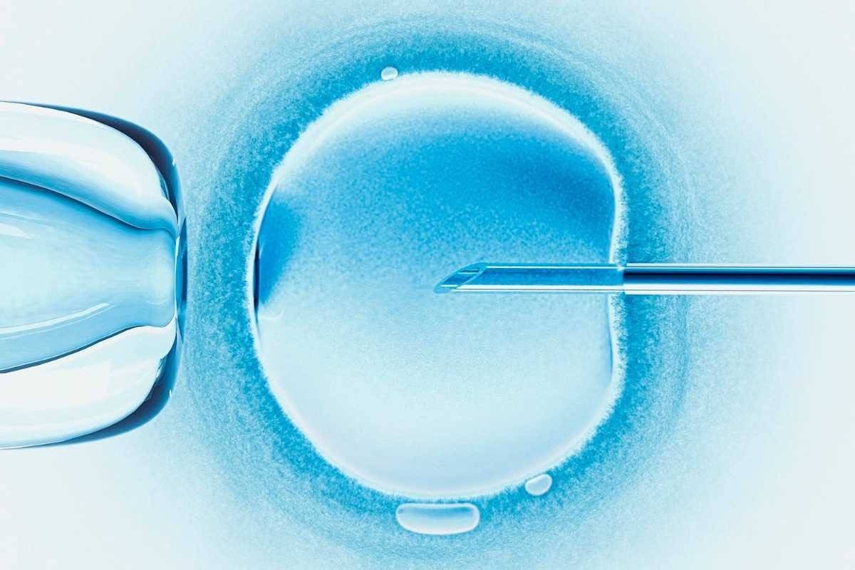 Powiat oświęcimski wdroży program in vitro