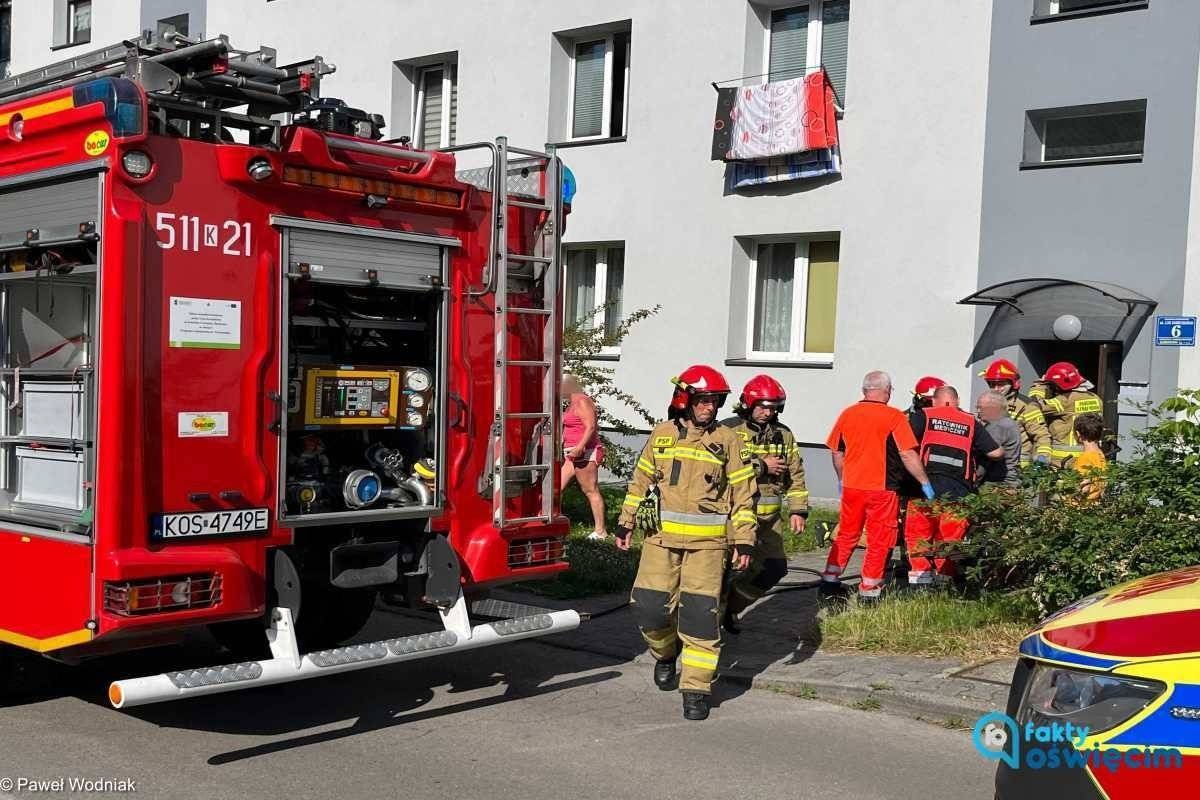 Dym w mieszkaniu na parterze. Strażacy w akcji – FOTO
