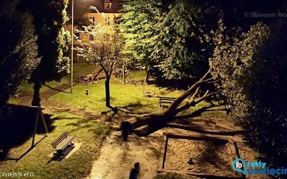 Strażacy sprzątają po burzy. Kilkadziesiąt interwencji – FILMY, FOTO